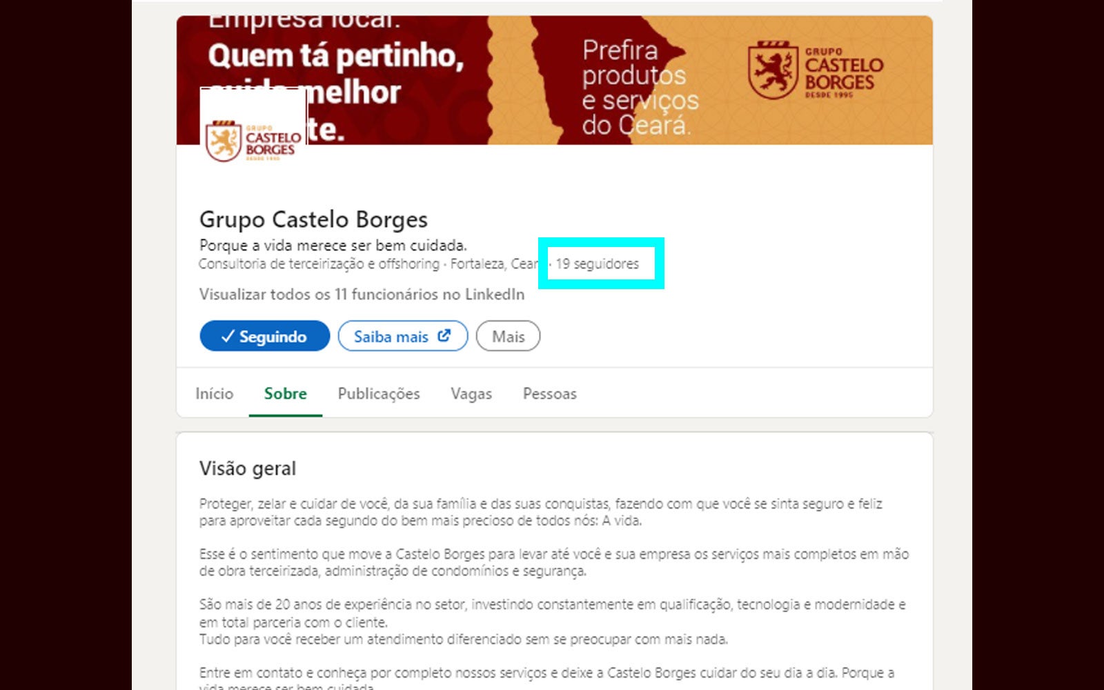LinkedIn antes, Grupo Castelo Borges