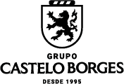 Grupo Castelo Borges