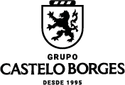 Grupo Castelo Borges